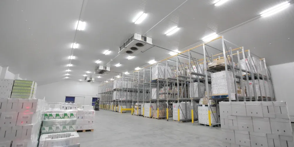 Revolutionising Time, Cost Savings for Food Manufacturers